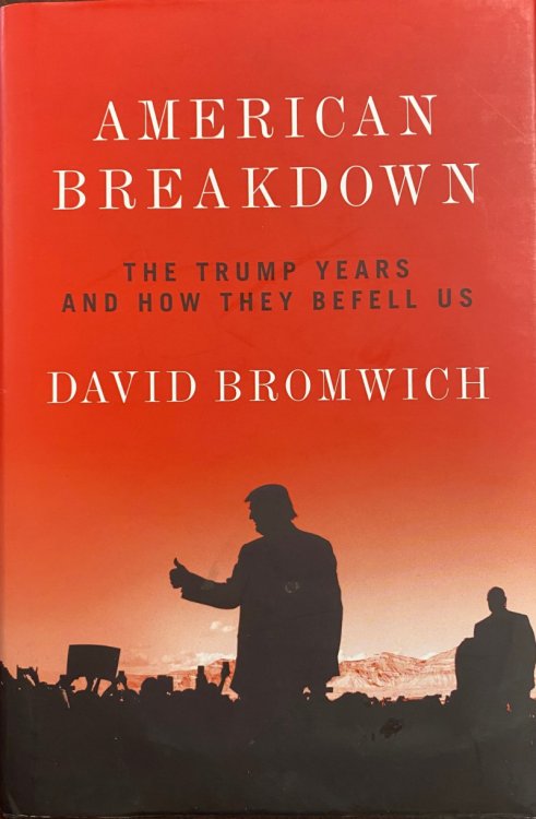 American Breakdown: The Trump Years and How They Befell Us