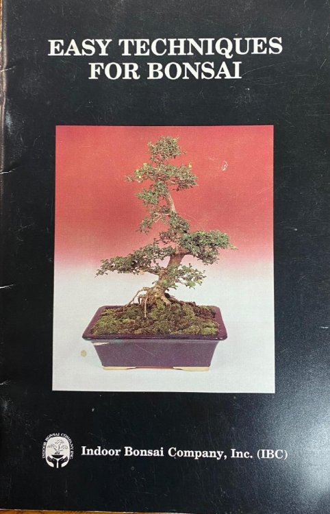 Easy Techniques for Bonsai