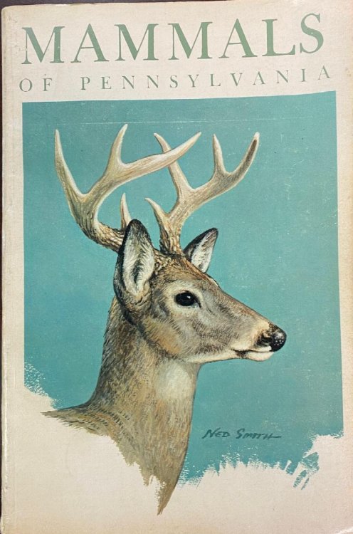 Mammals of Pennsylvania