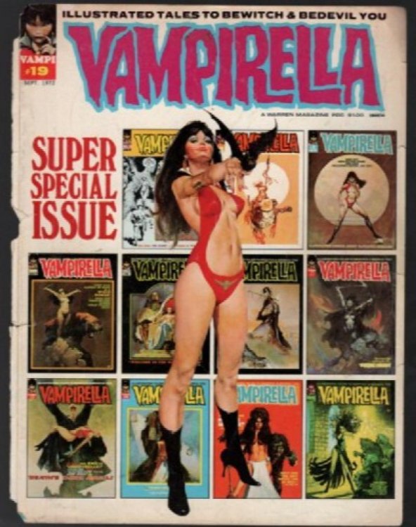 Vampirella covers: (Lot of 9)