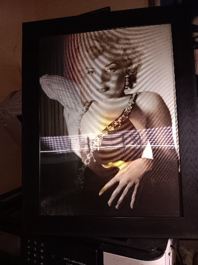 MARILYN MONROE MONOCHROME HOLOGRAM FRAMED PICTURE 3D 14x18 Inch
