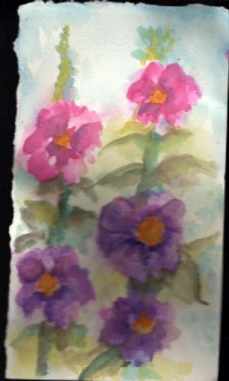 Watercolor done my Mon,Judy Libertus