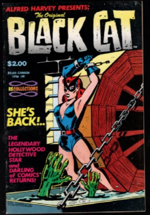 The Original Black Cat #1 (1988)