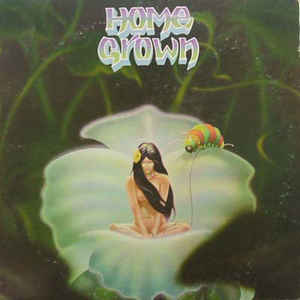 Home Grown Label: SKUA Records ‎ none Series: Home Grown (3) I Format: Vinyl, LP, Album Country: US Released: 1976 Genre: Jazz, Rock, Latin, Funk / Soul Style: Folk Rock, Soul, Disco