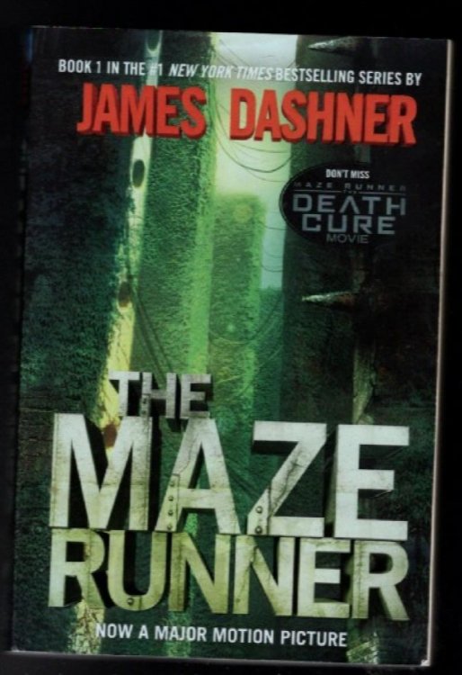 The Maze Runner