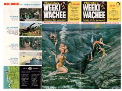 Vintage Weeki Wachee Underwater Mermaids Show Florida Travel Fold Out Brochure
