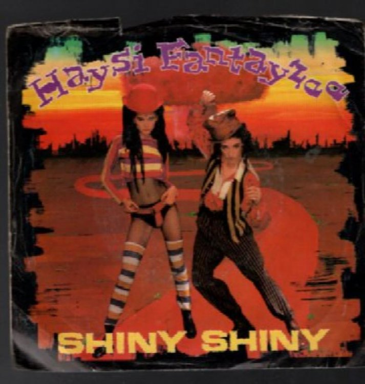 Haysi Fantayzee: Shiny,Shiney