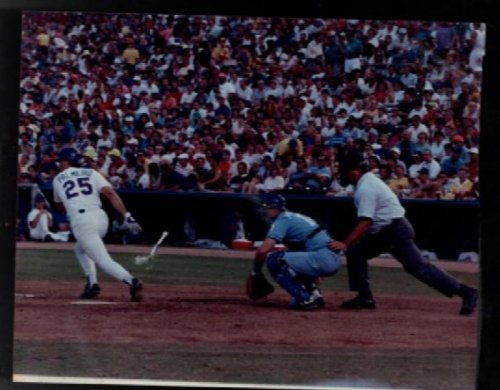 Palmeiro photo