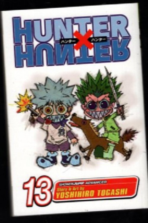 Hunter X Hunter (Vol. 31) English Manga Graphic Novel