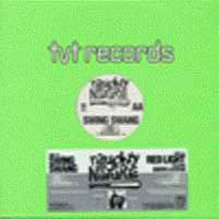 Naughty By Nature: Swing Swang / Red Light <br/>TVT Records TV-2391-0P