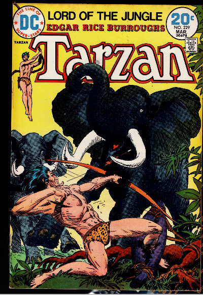Tarzan #229 - DC Comics 1974 - Joe Kubert Cover - Edgar Rice Burroughs