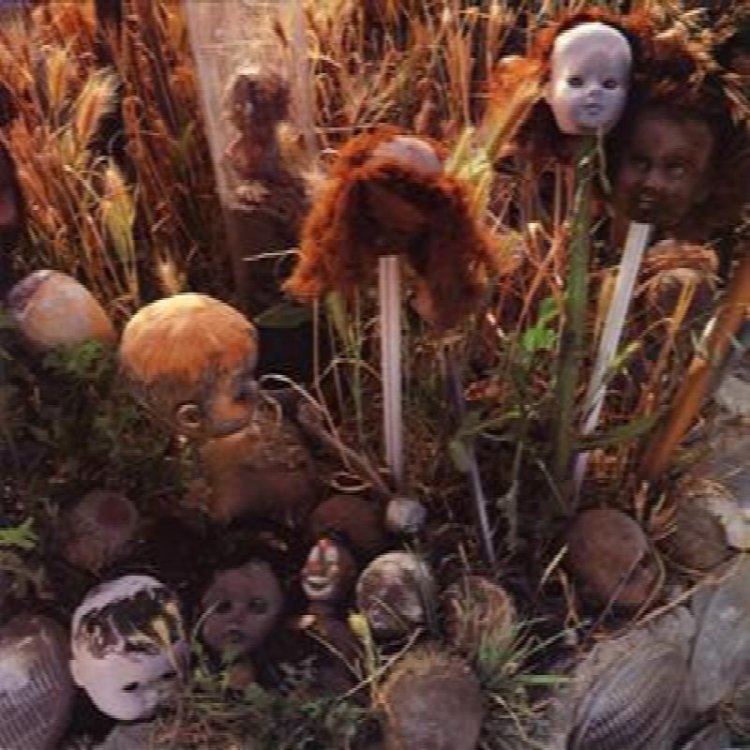 Wall Of Voodoo :Two Songs By Wall Of Voodoo<br/>I.R.S. Records SP 70407