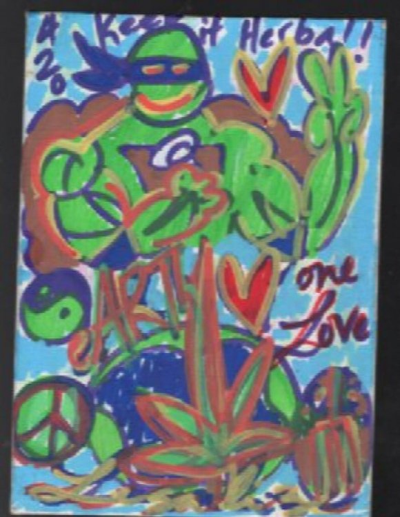 Ninja turtles, Donatello Painting by Kohture:Mixed media on canvas board