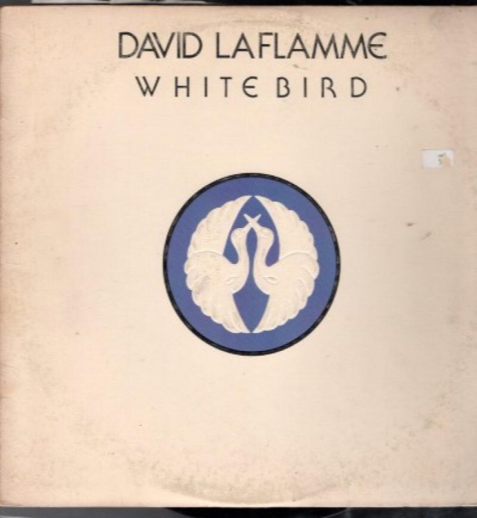 David LaFlamme :White Bird