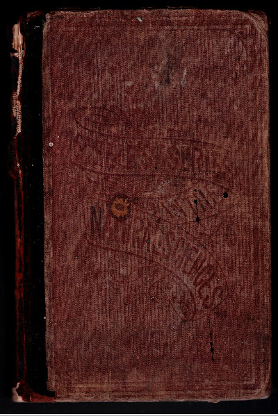 Steele's Series in the Natural Sciences. Physiology