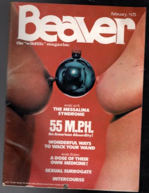 2 X Beaver:1.The 