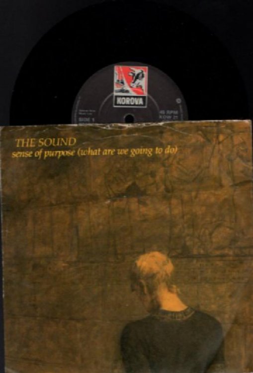 The Sound: Sense Of Purpose (What Are We Going To Do)
