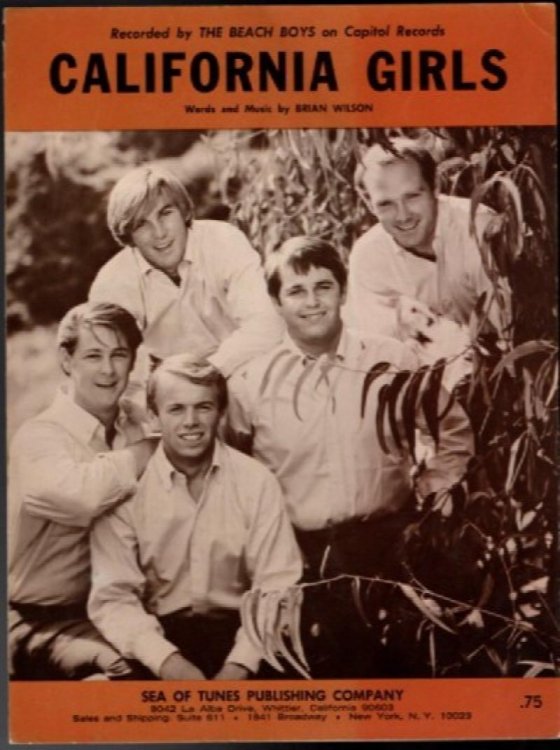 Vintage Beach Boys 