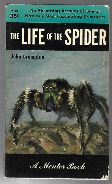 the Life of a Spider