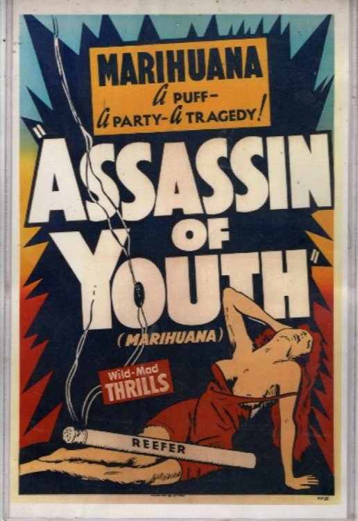 ASSASSIN OF YOUTH - MARIJUANA POSTER 24x36 - WEED POT SMOKING