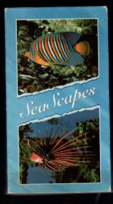 Sea Scapes VHS: an hour of underwater pure euphoria