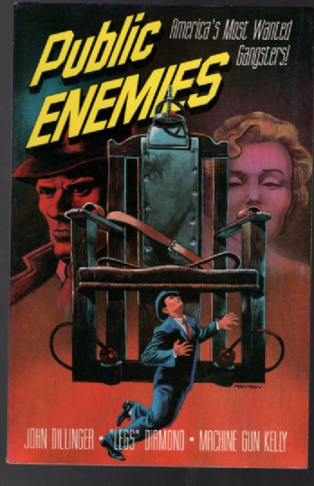 Public Enemies