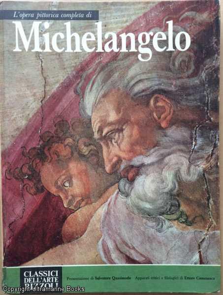 Michelangelo, L'opera completa di Michelangelo pittore