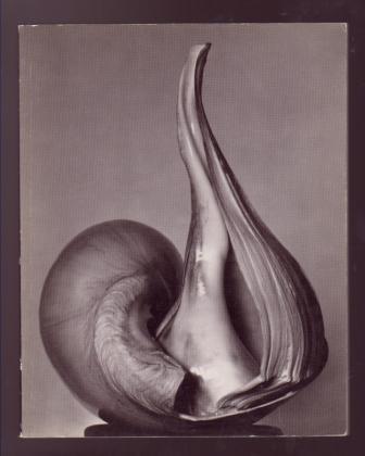 EW:100 - Centennial Essays in Honor of Edward Weston