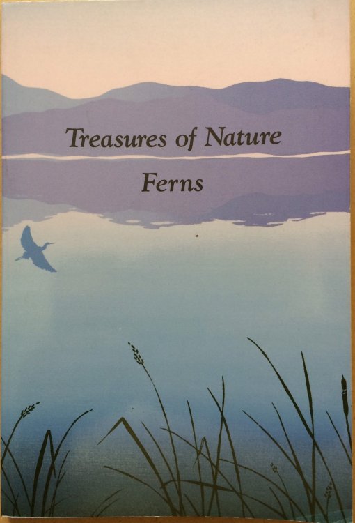 Treasures of Nature - Ferns