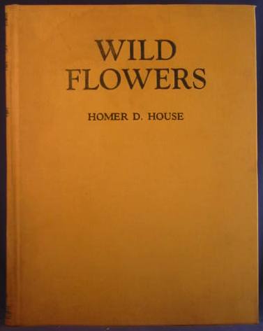 Wild Flowers