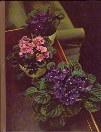Flowering House Plants