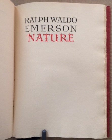 Nature