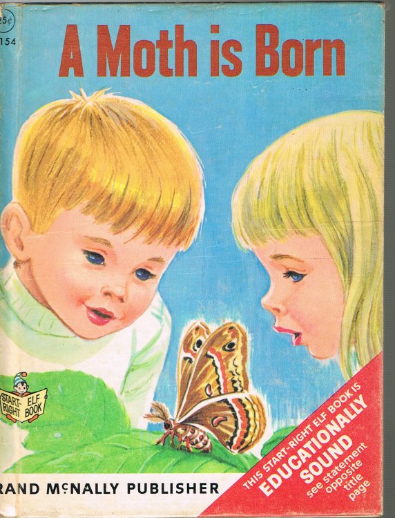 A Moth is Born