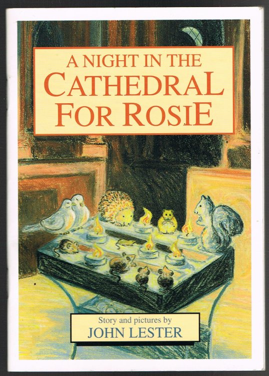 A Night in the Cathedral For Rosie