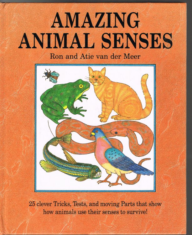 Amazing Animal Senses