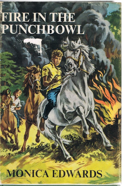 Fire in the Punchbowl