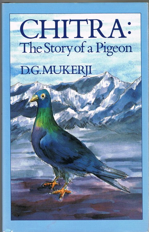 Chitra: The Story of a Pigeon