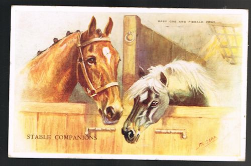 Stable Companions Horse & Pony Postcard