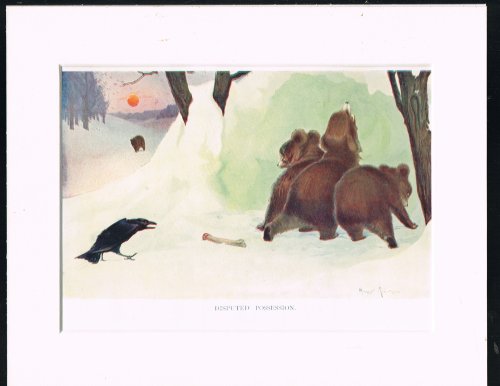 Disputed Possession [Mounted Plate from The Wonder Book of Animals]