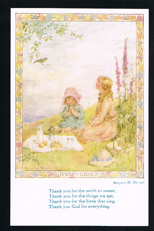 Baby's Grace Postcard - Flower of Dawn Series