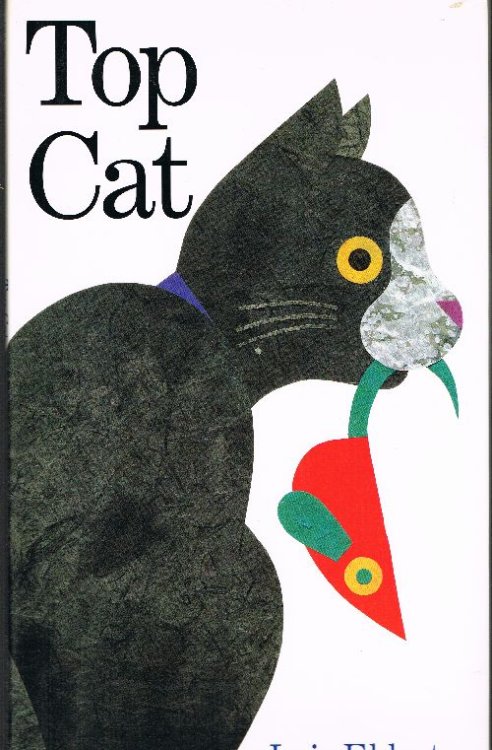 Top Cat