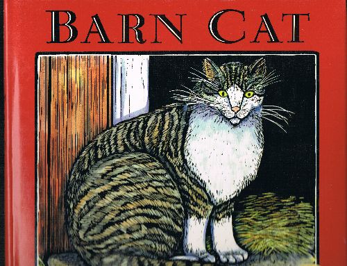 Barn Cat
