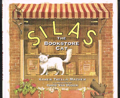 Silas, the Bookstore Cat