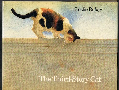 The Third-Story Cat