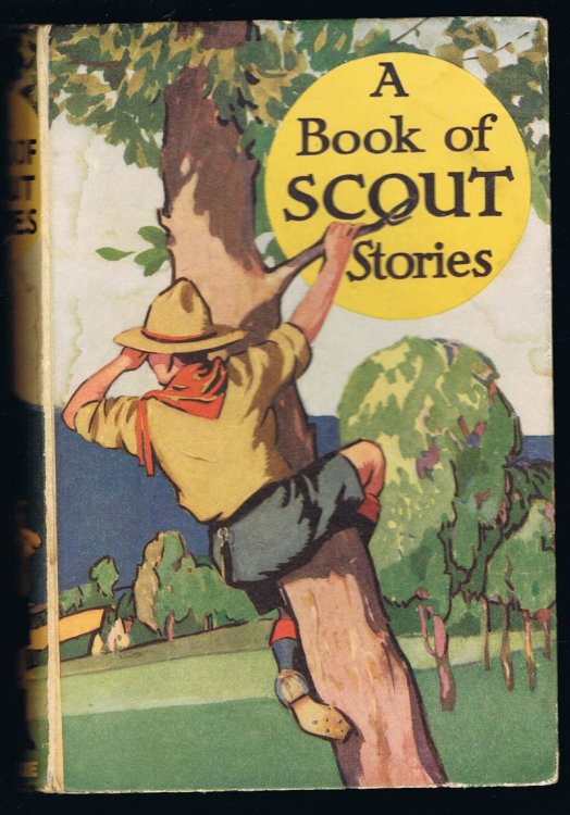 A Book of Scout Stories