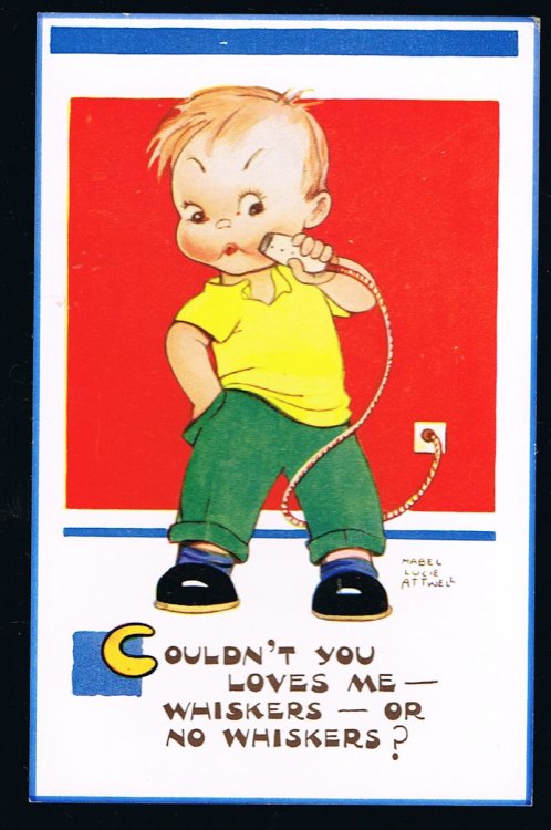 Whiskers or No Whiskers Postcard