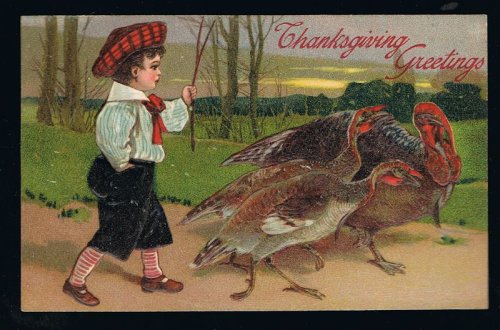 Boy & Turkeys Embossed Thanksgiving Postcard