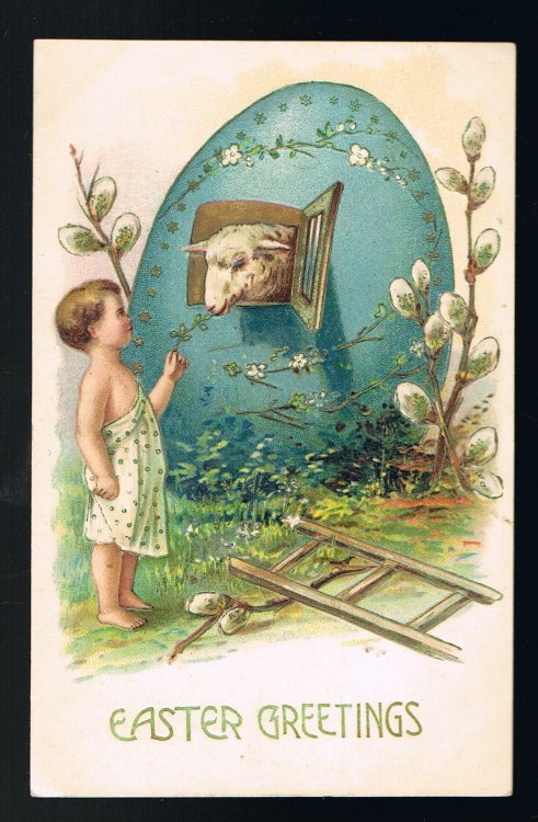 Sheep in Egg Easter Fantasy Pussy Willow Embossed Postcard