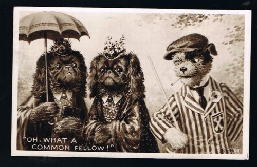Oh What a Common Fellow - Anthropomorphic Pekingese & Mongrel Dog Postcard