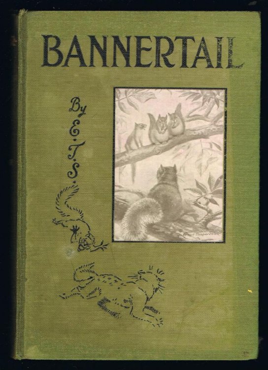 Bannertail - The Story of A Gray Squirrel